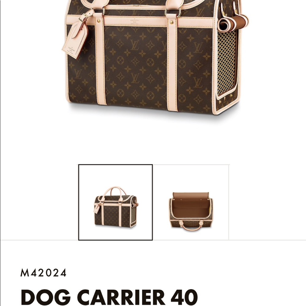 Louis Vuitton dog carrier